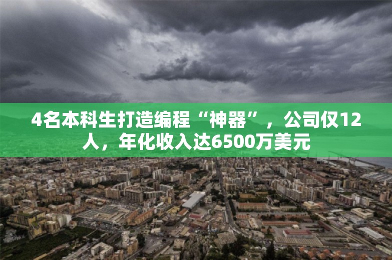 4名本科生打造编程“神器”，公司仅12人，年化收入达6500万美元