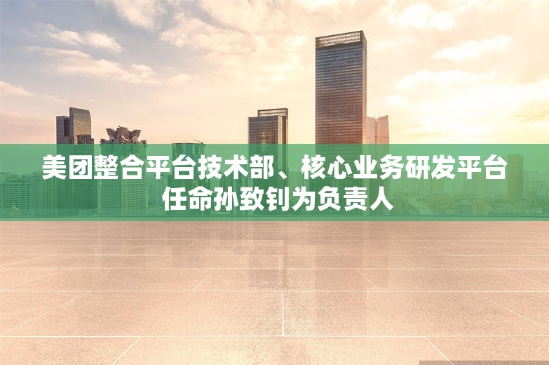 美团整合平台技术部、核心业务研发平台 任命孙致钊为负责人