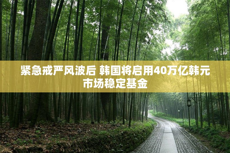 紧急戒严风波后 韩国将启用40万亿韩元市场稳定基金