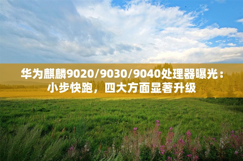 华为麒麟9020/9030/9040处理器曝光：小步快跑，四大方面显著升级