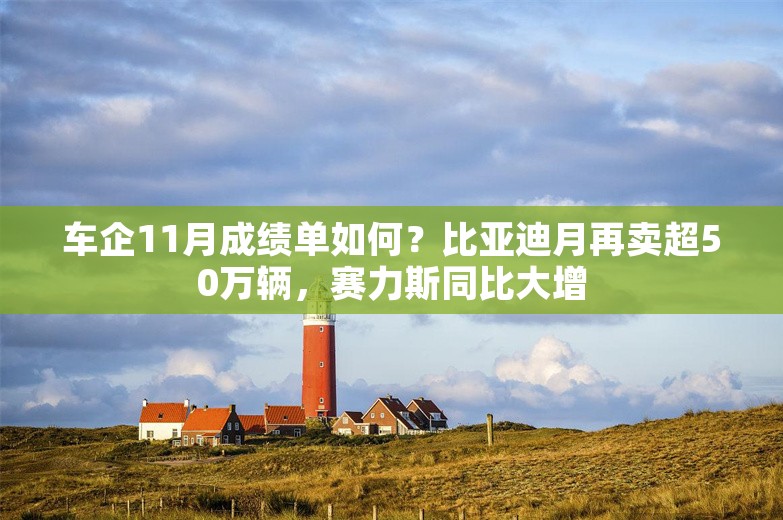 车企11月成绩单如何？比亚迪月再卖超50万辆，赛力斯同比大增