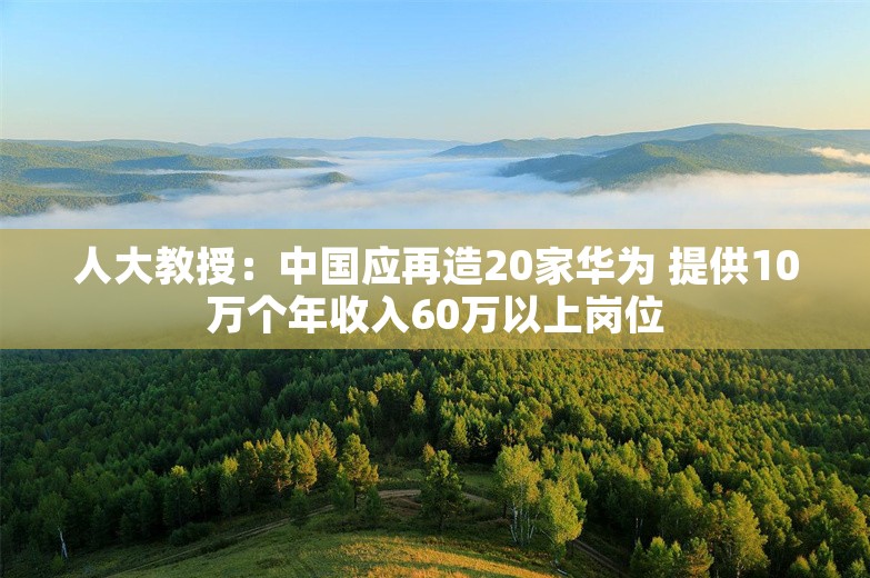 人大教授：中国应再造20家华为 提供10万个年收入60万以上岗位