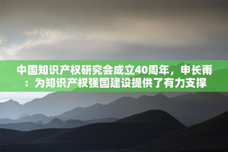 中国知识产权研究会成立40周年，申长雨：为知识产权强国建设提供了有力支撑