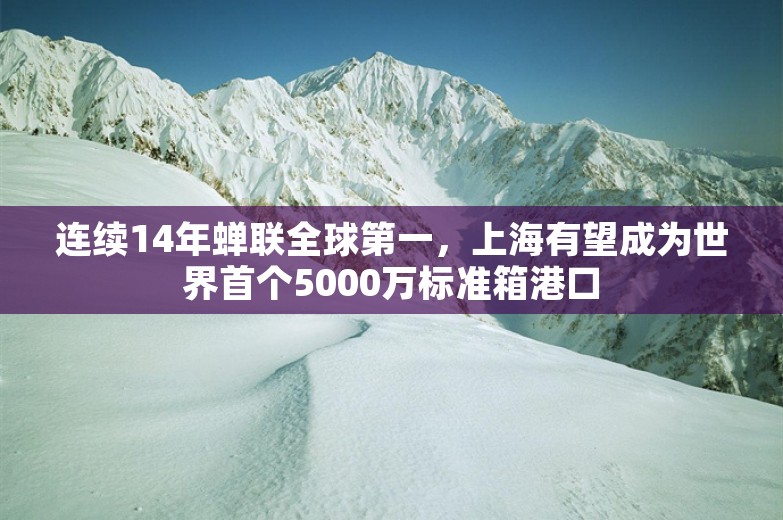 连续14年蝉联全球第一，上海有望成为世界首个5000万标准箱港口