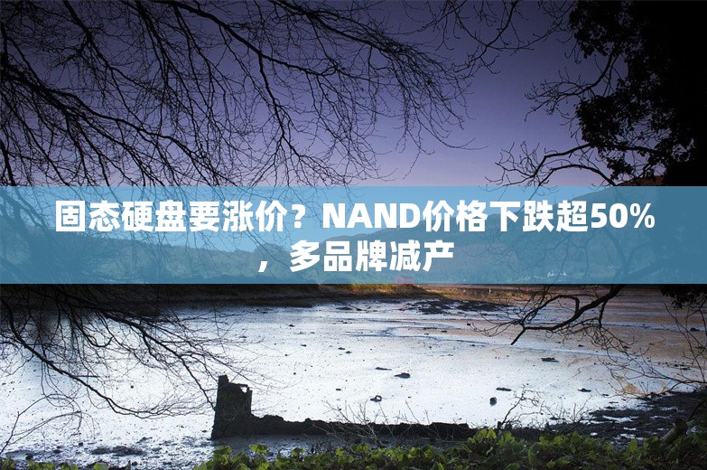 固态硬盘要涨价？NAND价格下跌超50%，多品牌减产