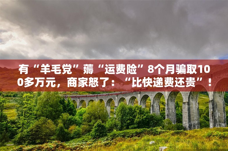 有“羊毛党”薅“运费险”8个月骗取100多万元，商家怒了：“比快递费还贵”！律师：5万元以上构成犯罪