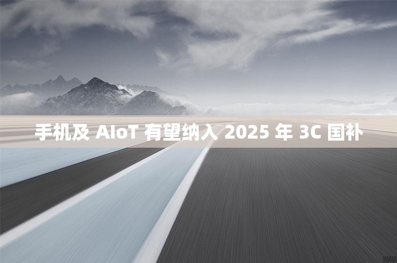 手机及 AIoT 有望纳入 2025 年 3C 国补