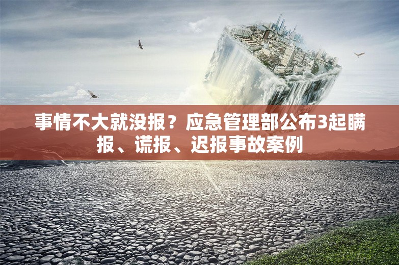 事情不大就没报？应急管理部公布3起瞒报、谎报、迟报事故案例