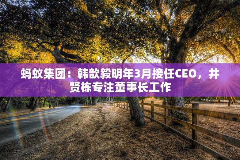 蚂蚁集团：韩歆毅明年3月接任CEO，井贤栋专注董事长工作