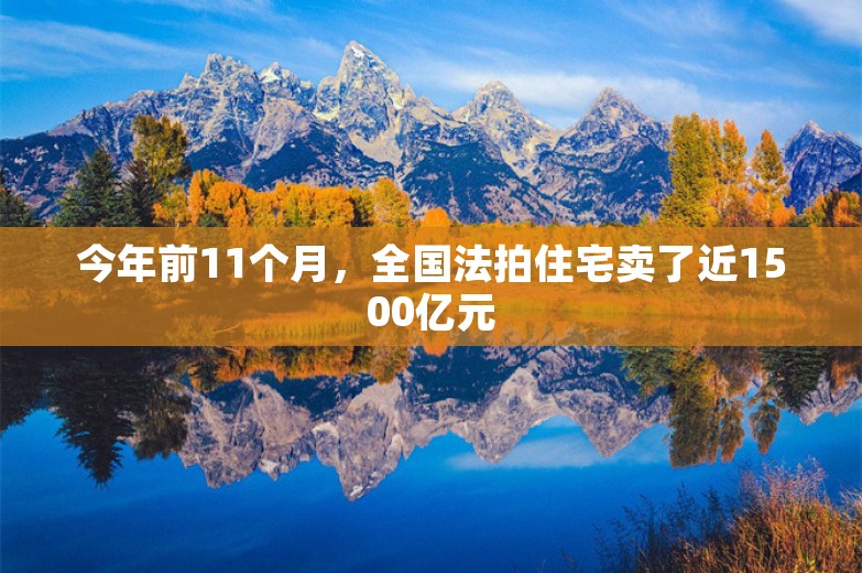 今年前11个月，全国法拍住宅卖了近1500亿元