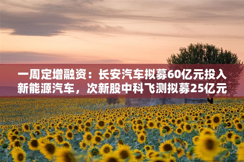 一周定增融资：长安汽车拟募60亿元投入新能源汽车，次新股中科飞测拟募25亿元