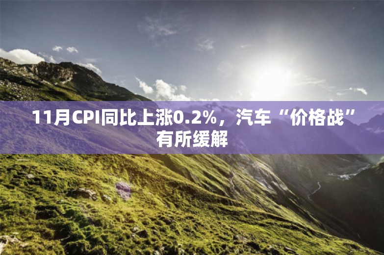 11月CPI同比上涨0.2%，汽车“价格战”有所缓解