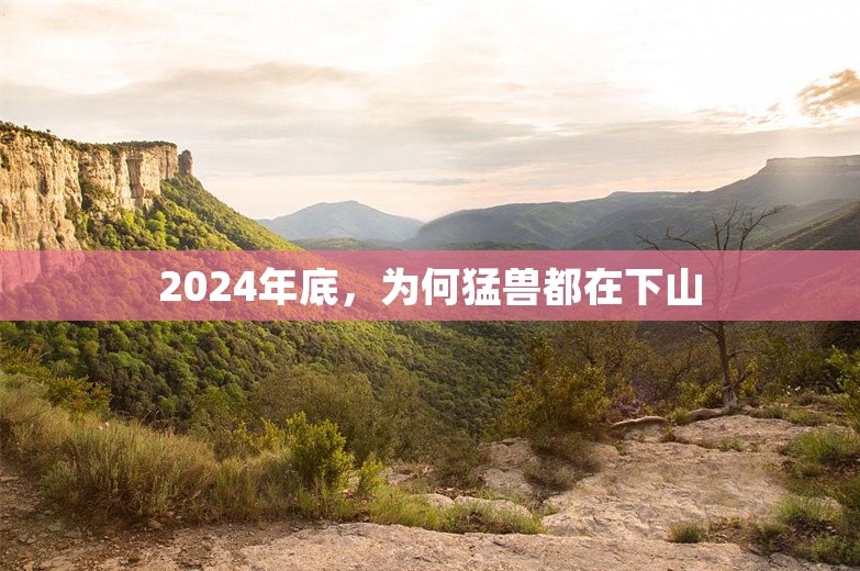 2024年底，为何猛兽都在下山