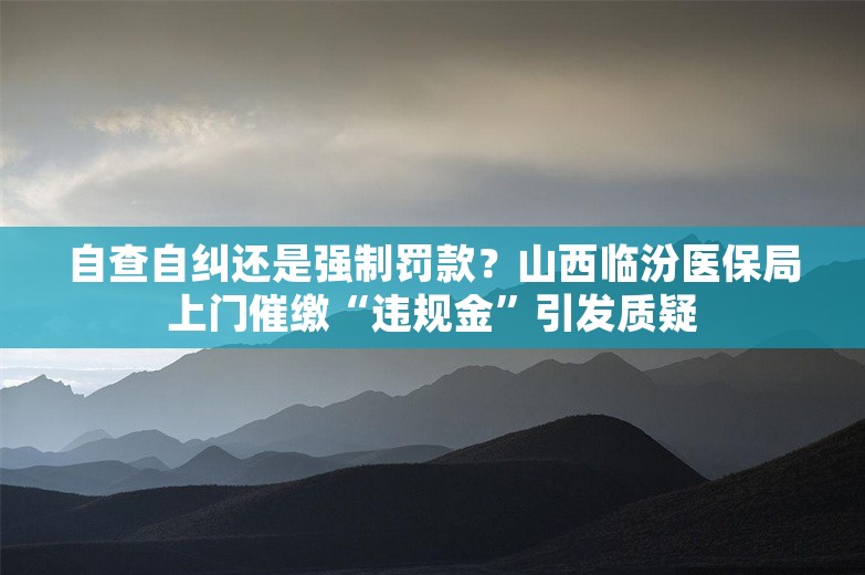 自查自纠还是强制罚款？山西临汾医保局上门催缴“违规金”引发质疑