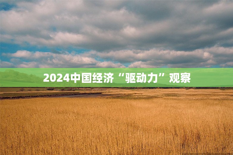 2024中国经济“驱动力”观察