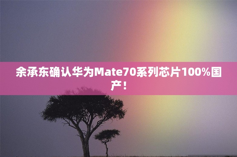 余承东确认华为Mate70系列芯片100%国产！