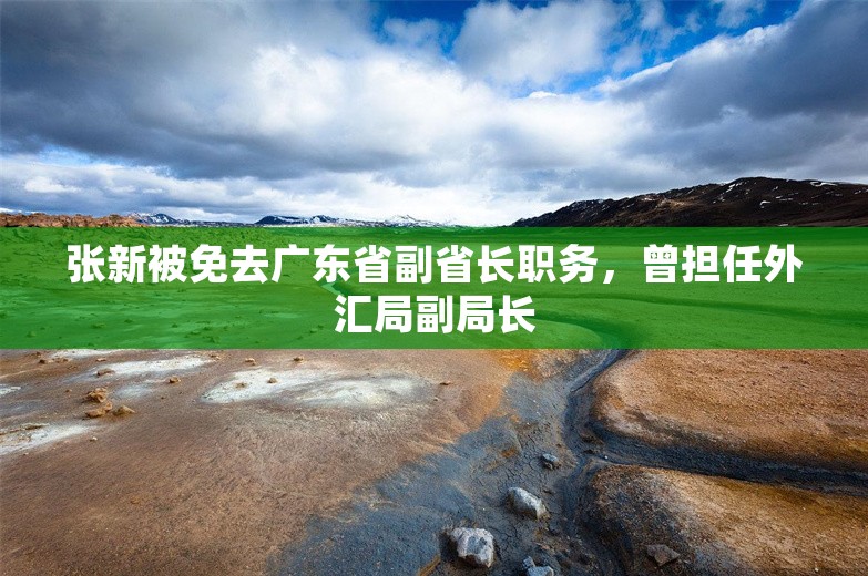 张新被免去广东省副省长职务，曾担任外汇局副局长