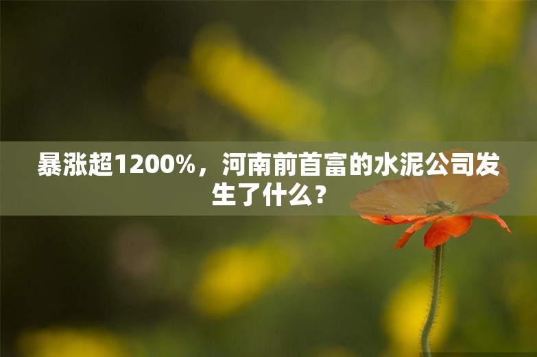 暴涨超1200%，河南前首富的水泥公司发生了什么？