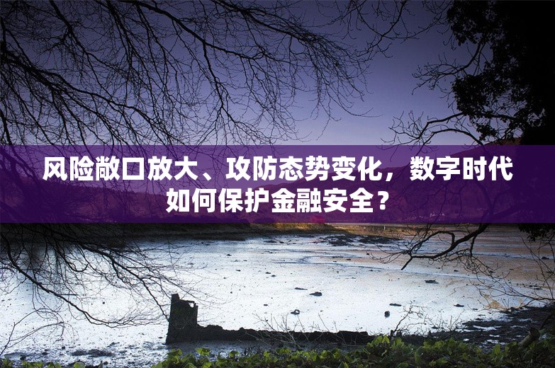 风险敞口放大、攻防态势变化，数字时代如何保护金融安全？