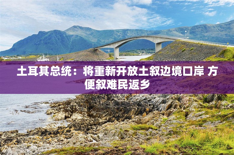 土耳其总统：将重新开放土叙边境口岸 方便叙难民返乡