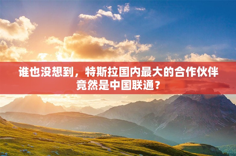 谁也没想到，特斯拉国内最大的合作伙伴竟然是中国联通？