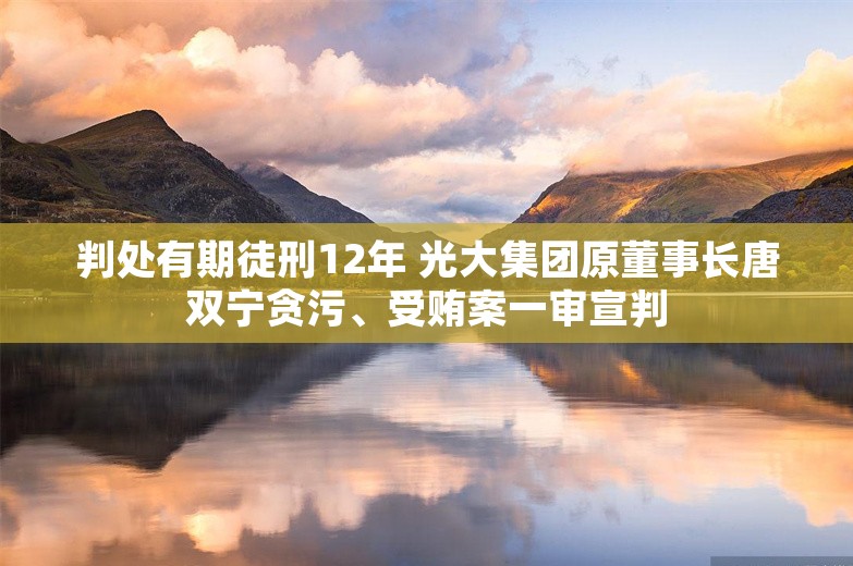 判处有期徒刑12年 光大集团原董事长唐双宁贪污、受贿案一审宣判