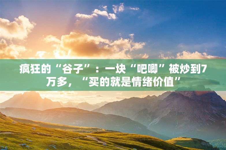 疯狂的“谷子”：一块“吧唧”被炒到7万多，“买的就是情绪价值”