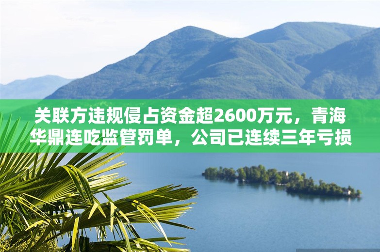 关联方违规侵占资金超2600万元，青海华鼎连吃监管罚单，公司已连续三年亏损