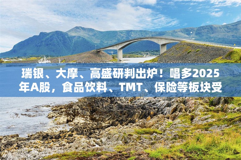 瑞银、大摩、高盛研判出炉！唱多2025年A股，食品饮料、TMT、保险等板块受关注