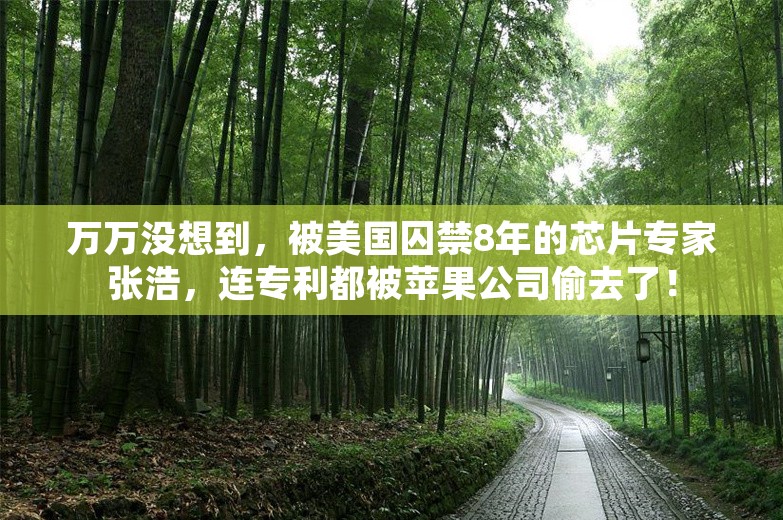 万万没想到，被美国囚禁8年的芯片专家张浩，连专利都被苹果公司偷去了！