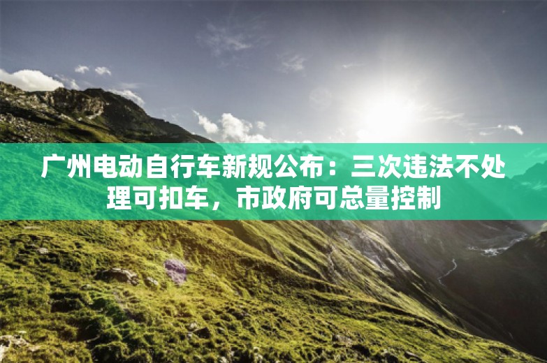 广州电动自行车新规公布：三次违法不处理可扣车，市政府可总量控制