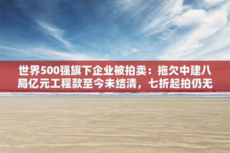 世界500强旗下企业被拍卖：拖欠中建八局亿元工程款至今未结清，七折起拍仍无人报名