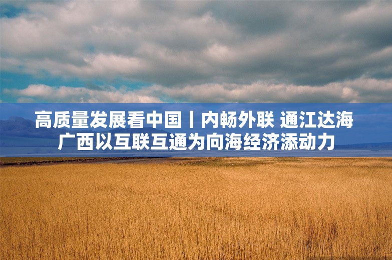 高质量发展看中国丨内畅外联 通江达海 广西以互联互通为向海经济添动力