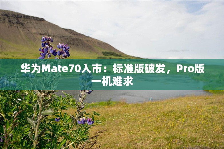 华为Mate70入市：标准版破发，Pro版一机难求