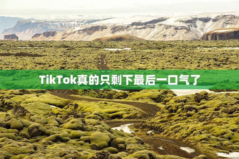 TikTok真的只剩下最后一口气了