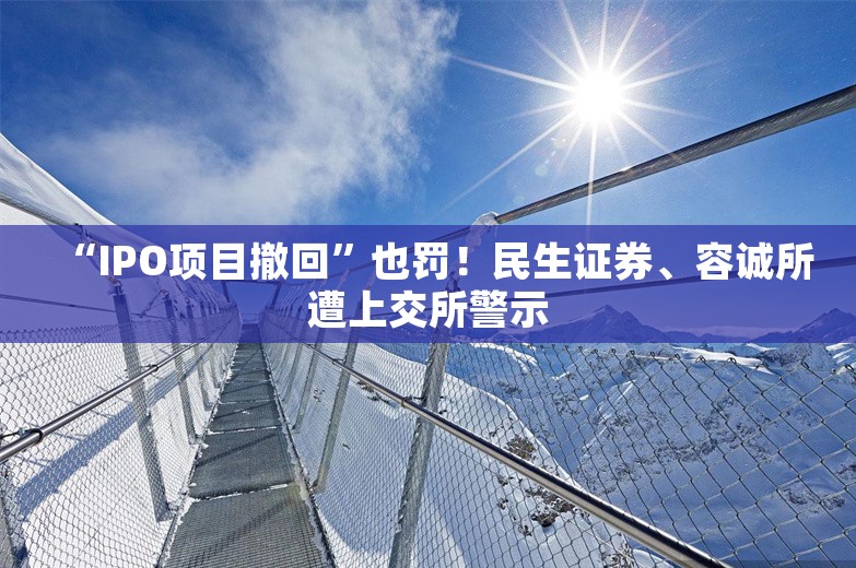 “IPO项目撤回”也罚！民生证券、容诚所遭上交所警示