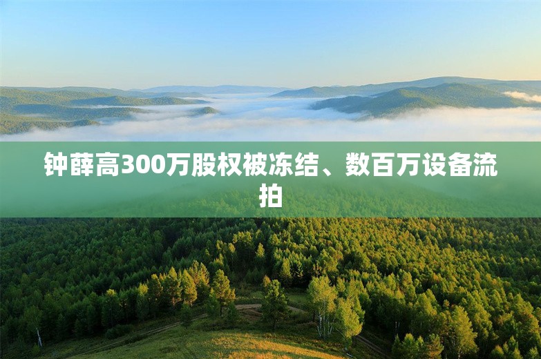 钟薛高300万股权被冻结、数百万设备流拍