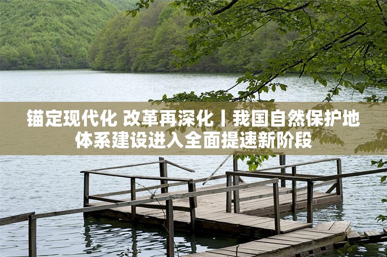 锚定现代化 改革再深化丨我国自然保护地体系建设进入全面提速新阶段