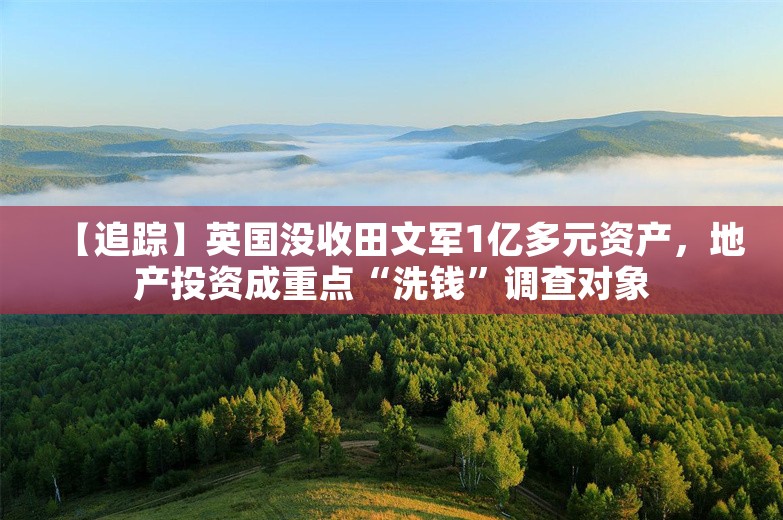 【追踪】英国没收田文军1亿多元资产，地产投资成重点“洗钱”调查对象