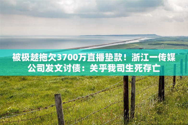 被极越拖欠3700万直播垫款！浙江一传媒公司发文讨债：关乎我司生死存亡