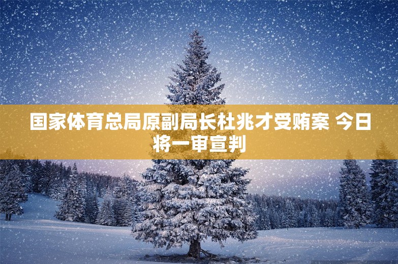 国家体育总局原副局长杜兆才受贿案 今日将一审宣判