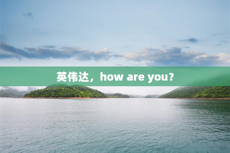 英伟达，how are you？