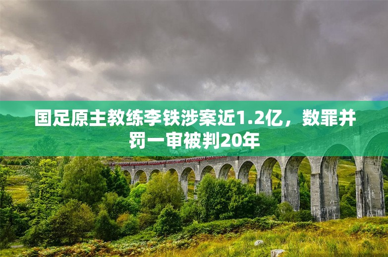 国足原主教练李铁涉案近1.2亿，数罪并罚一审被判20年