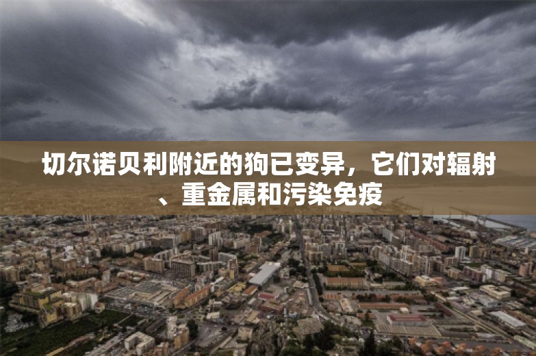 切尔诺贝利附近的狗已变异，它们对辐射、重金属和污染免疫