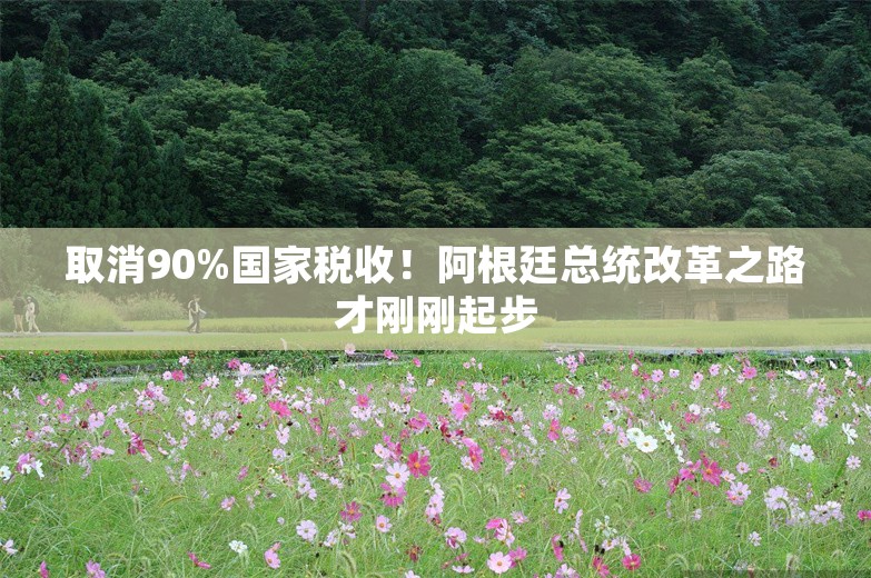 取消90%国家税收！阿根廷总统改革之路才刚刚起步