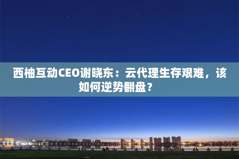 西柚互动CEO谢晓东：云代理生存艰难，该如何逆势翻盘？ 