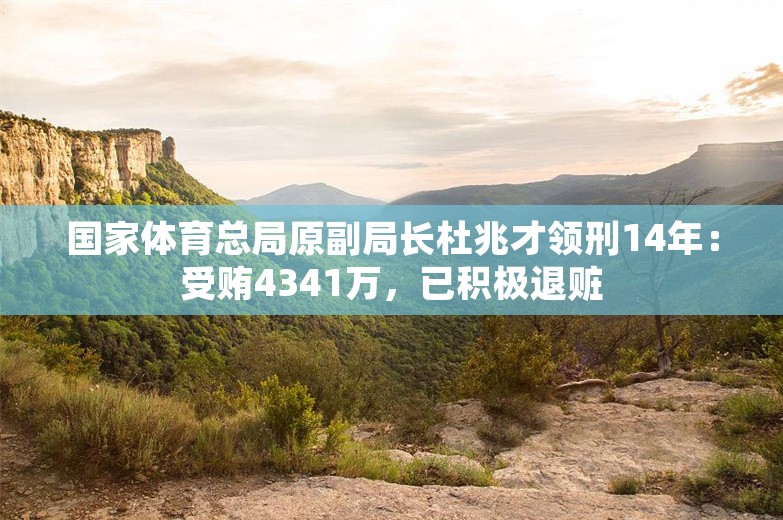 国家体育总局原副局长杜兆才领刑14年：受贿4341万，已积极退赃
