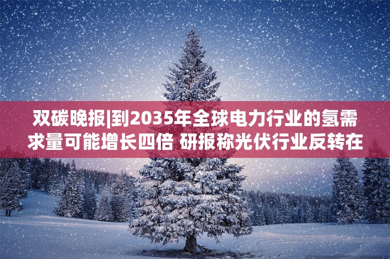 双碳晚报|到2035年全球电力行业的氢需求量可能增长四倍 研报称光伏行业反转在即