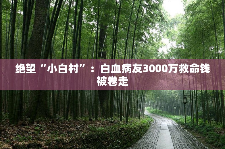 绝望“小白村”：白血病友3000万救命钱被卷走