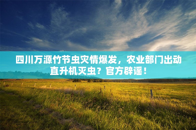 四川万源竹节虫灾情爆发，农业部门出动直升机灭虫？官方辟谣！